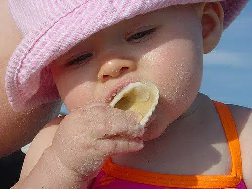 babies-beach-explore-shells